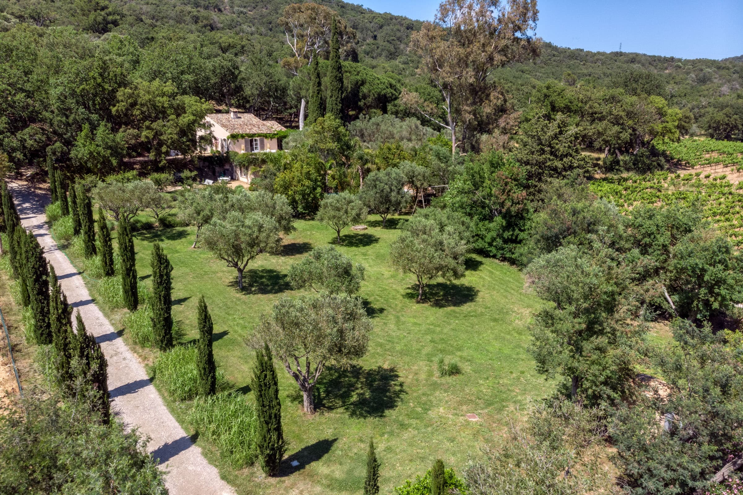 Propriété de 1 hectare à vendre à Grimaud. Jardin verdoyant, calme absolu et vue sur le château, un havre de paix en Provence.