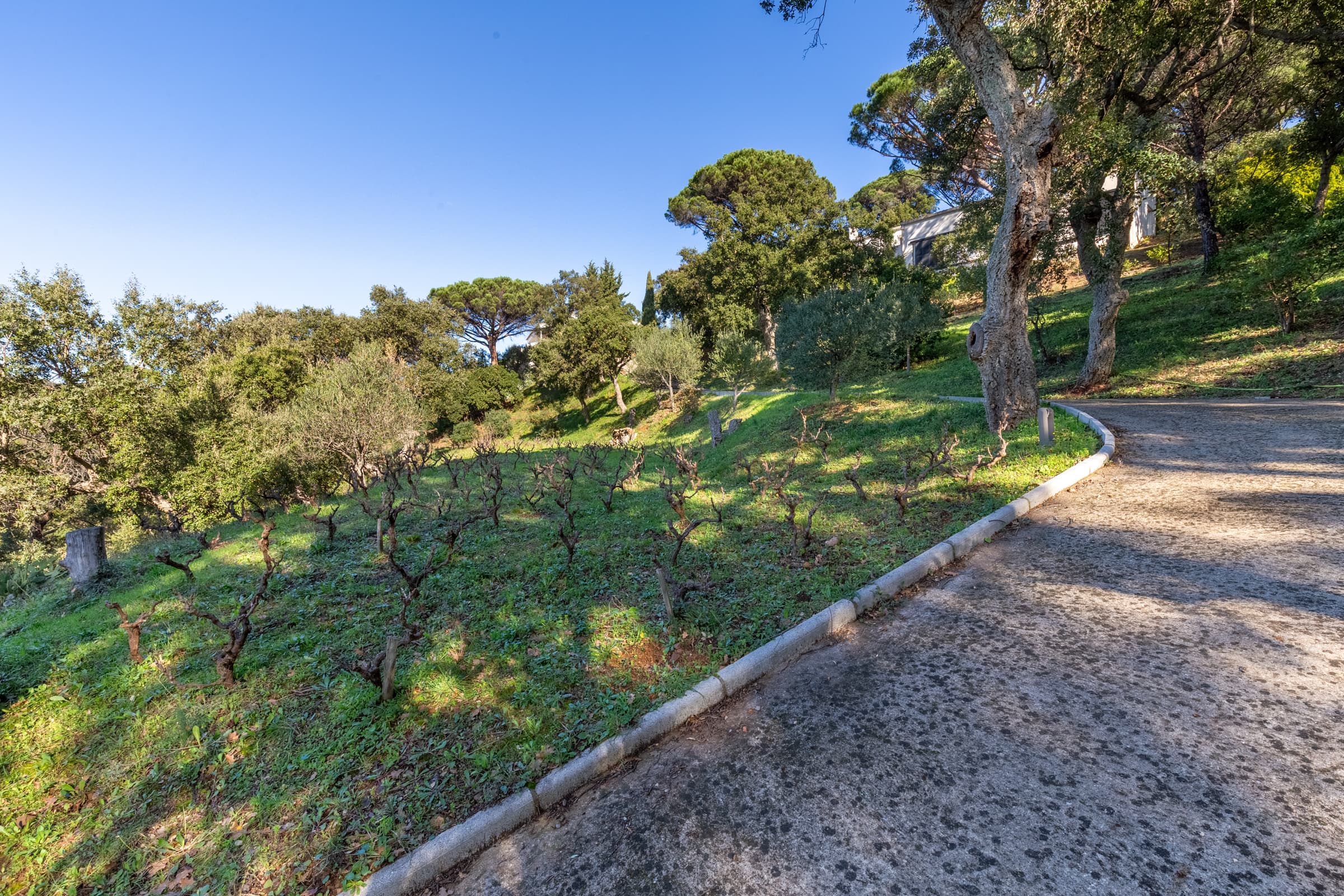 Allée d’accès menant à cette villa à vendre à Gigaro, dans un environnement calme et naturel à La Croix-Valmer.