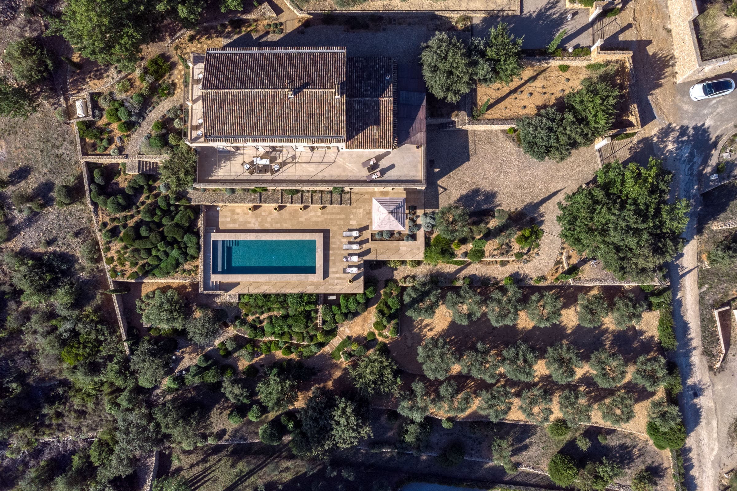 Vue aérienne d’une villa de luxe à vendre à Entrecasteaux, entourée de jardins en terrasses et d’une oliveraie de 40 arbres.