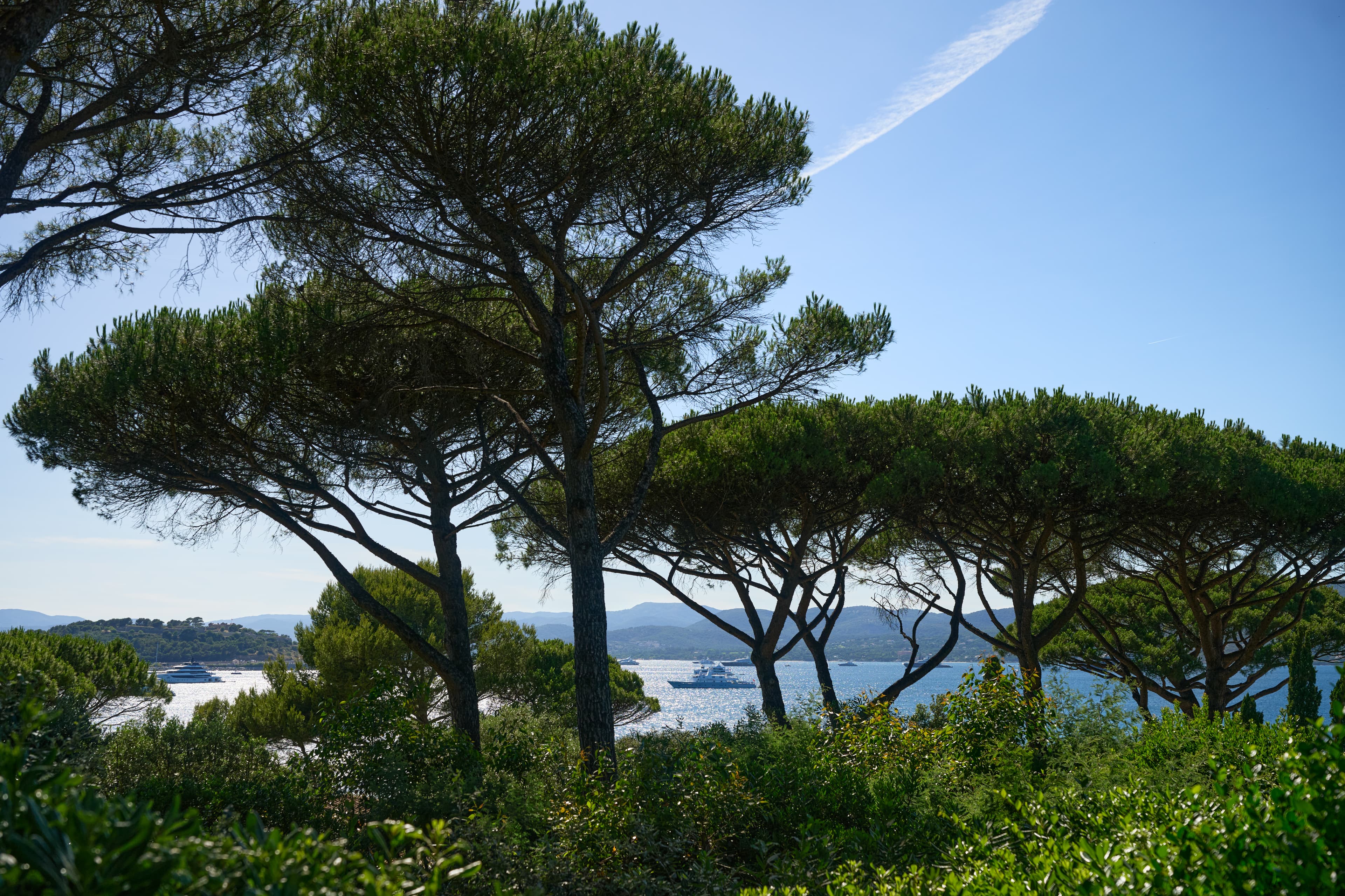 Vue panoramique sur la Méditerranée depuis une propriété d'exception située en première ligne de mer.
