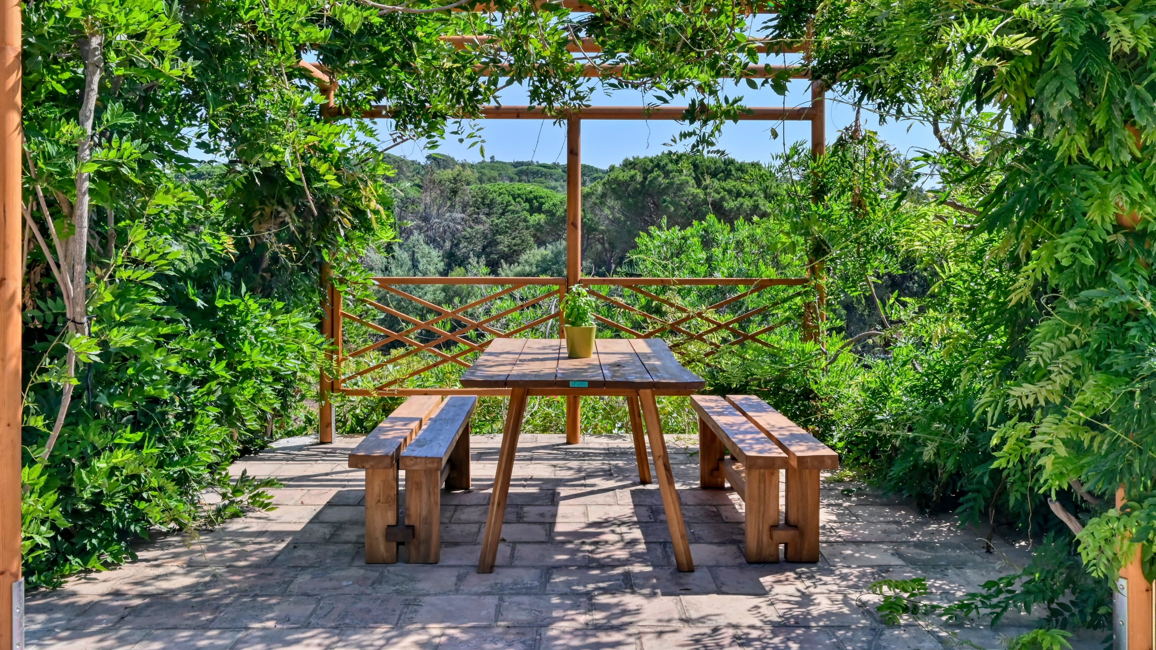 Magnifique jardin provençal avec oliviers et lavandes autour d’une propriété de charme à vendre à Ramatuelle.